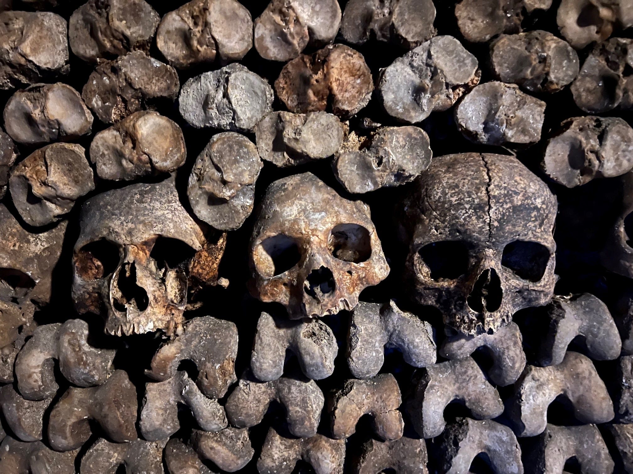 デスメタル Catacomb The years of morbidology Catacomb - 