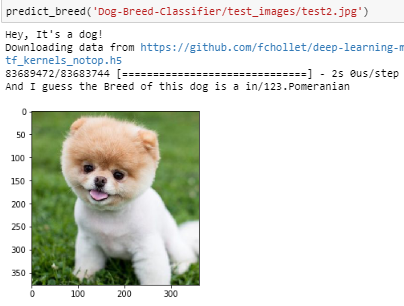 Write an Algorithm for a Dog Identification App | by harshita gupta ...
