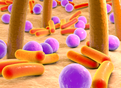 Impact of Silver Nanoparticles on Skin Microbiota and Dermatological Health