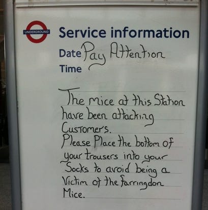 Knifecrime Island Under Attack From Plague Of Toe Nibbling Rodents by Knifecrime Island Under Attack From Plague Of Toe Nibbling Rodents by