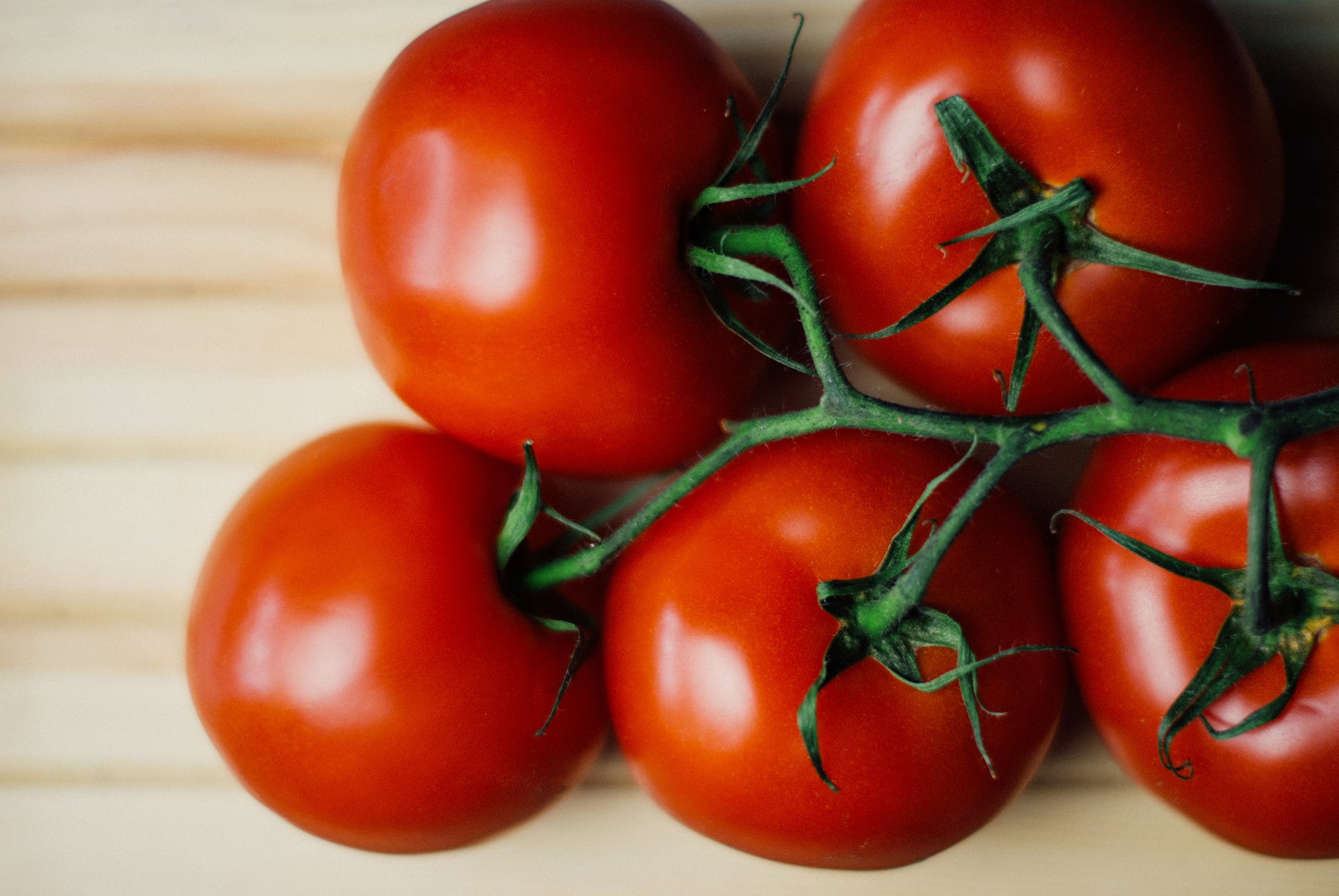 From Farm to Table: The Tale of a Tomato and Food Waste, by Rebecca  Shumway