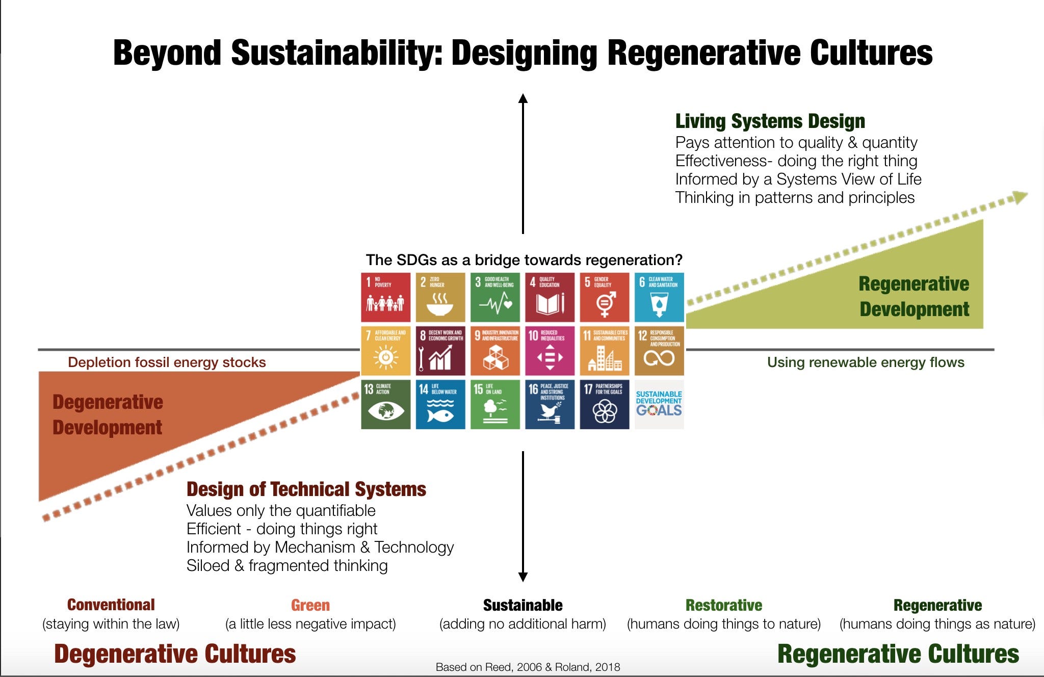 Liriane Petry - Co-Founder & COO - PURA - Regenerative Cultures &  Nature-based Solutions