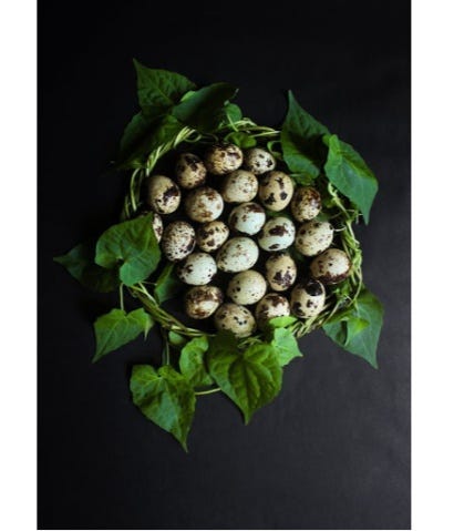 Extreme Health Benefits of Eating Quail Eggs | by Black Horses | Medium