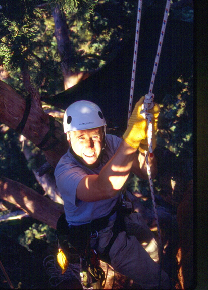 I am swinging from a rope 75 feet high in a giant sequoia, the