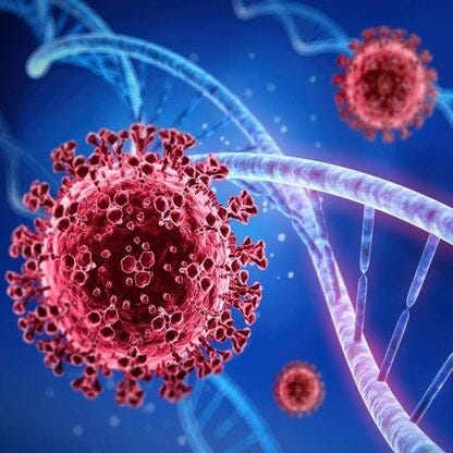 Whole Genome Analysis