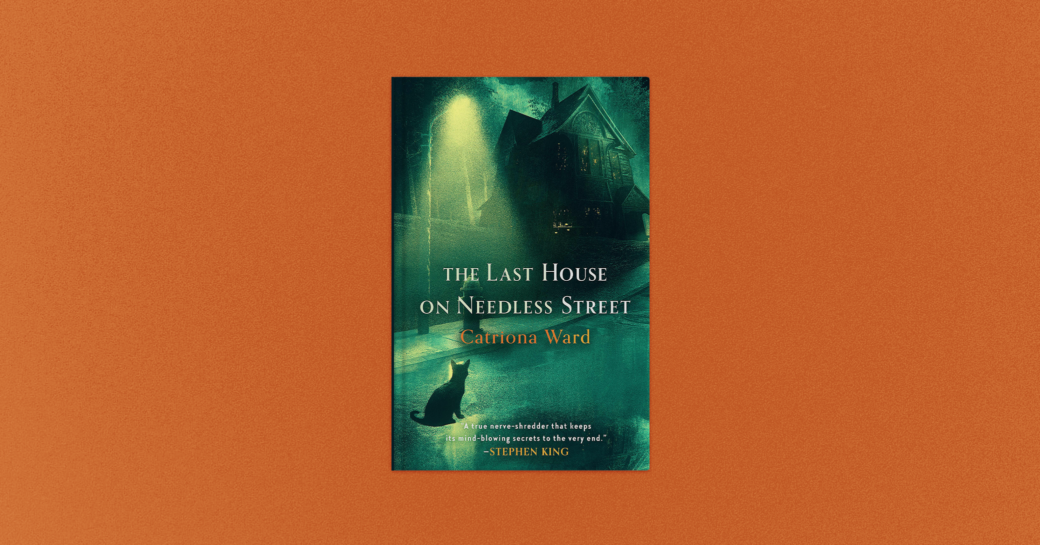 The Last House On Needless Street By Catriona Ward Unnerves