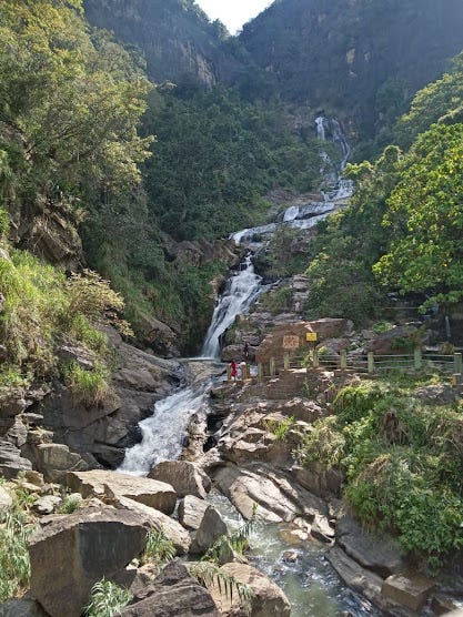 🌿 Visit Ella — Experience the Hidden Gem of Sri Lanka 🌿
