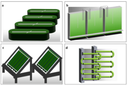Gambar 2. Microalgae cultivation systems. (a) Open cultivation systems, (b) flat plate photobioreactor, © column photobioreactor, (d) tubular photobioreactor (Wang et al., 2024)