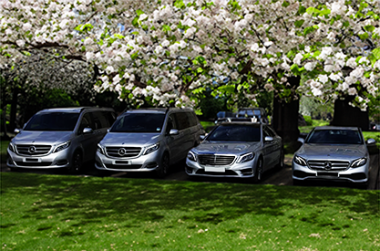 All Sutton Cars. Welcome to All Sutton Cars, your… | by All Sutton Cars