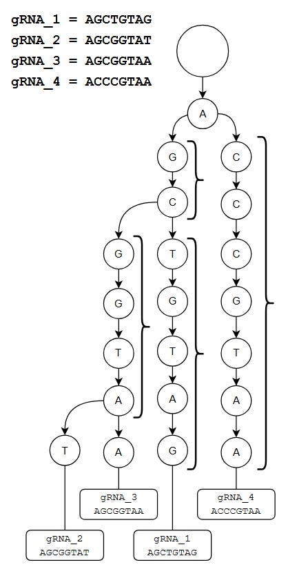 Algorithms #2 — Mapping Fun! Super Short Sequence Mapper