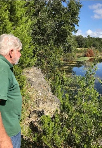 From Industrial Scar to Botanical Paradise: Growing Azaleas in a Sunken Florida Limestone Quarry