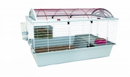 Cages and habitats for your hedgehog | by Hedgehog 101 | Medium