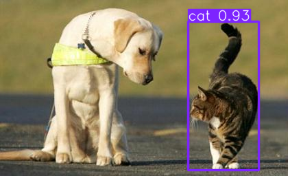 Need to keep an eye on your cats? Yolo and OpenCV got your back | by ...