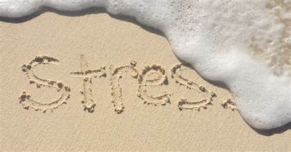 Stress and Inauthenticity: The Hidden Catalyst in Disease and Lifespan