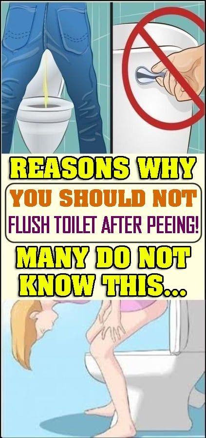 Reasons Why You Should Flush Toilet After Peeing May Do Not Know This Mary Williams Medium 