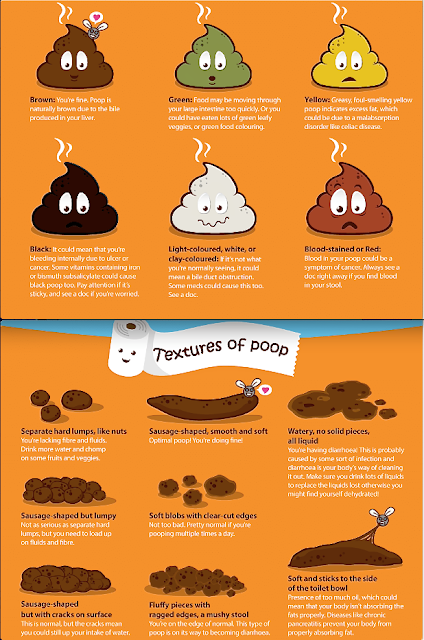 Believe It Or Not, Your Poop Can Tell If You Are Healthy Or Not ...