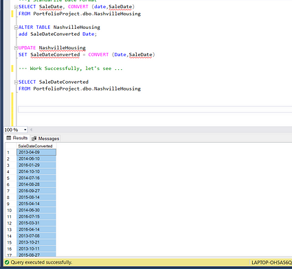 Cleaning Data Project with SQL Server Management: Nashville Housing ...