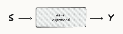 Transcription Networks, Information Processing, and the Building Blocks of Cellular Activity