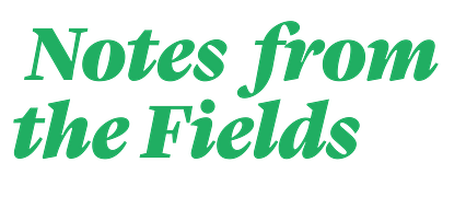 Notes from the Fields