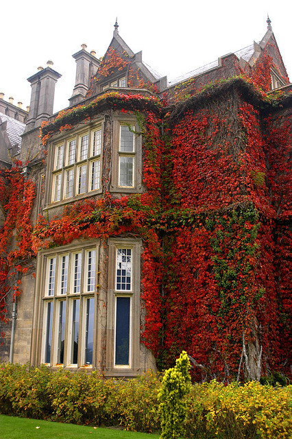 Muckross House in Killarney, Ireland