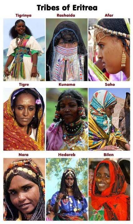 Ethnicity In Eritrea Eritrea s 9 Ethnic Groups GWFN