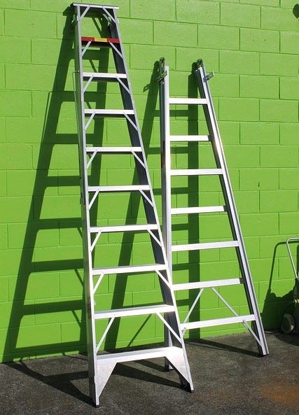 What Are the Different Types of Ladder?