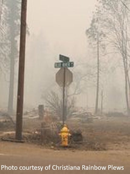 Get Out! Now! A Firefighter’s Account of the Holiday Farm Fire of 2020 ...