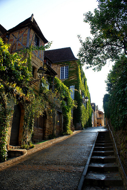 Steep Street, Sarlat, France