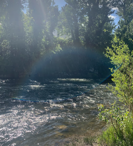 Flood or Purification Myth: The Great Deluge of Closed Adoption