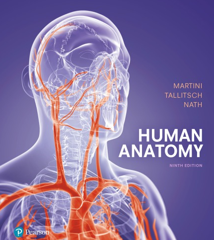 Human Anatomy 9th Edition Frederic Martini, ISBN-13: 978–0134320762 ...