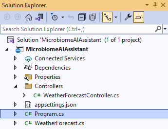 Initial ASP.NET Core Web API project structure