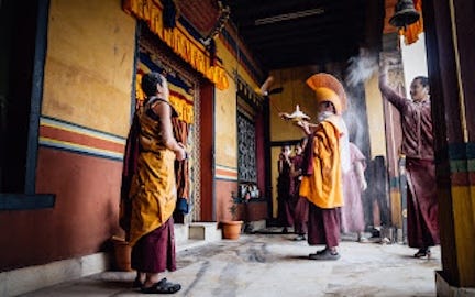 Monks making offerings at a temple. Credit: Matthew DeSantis.