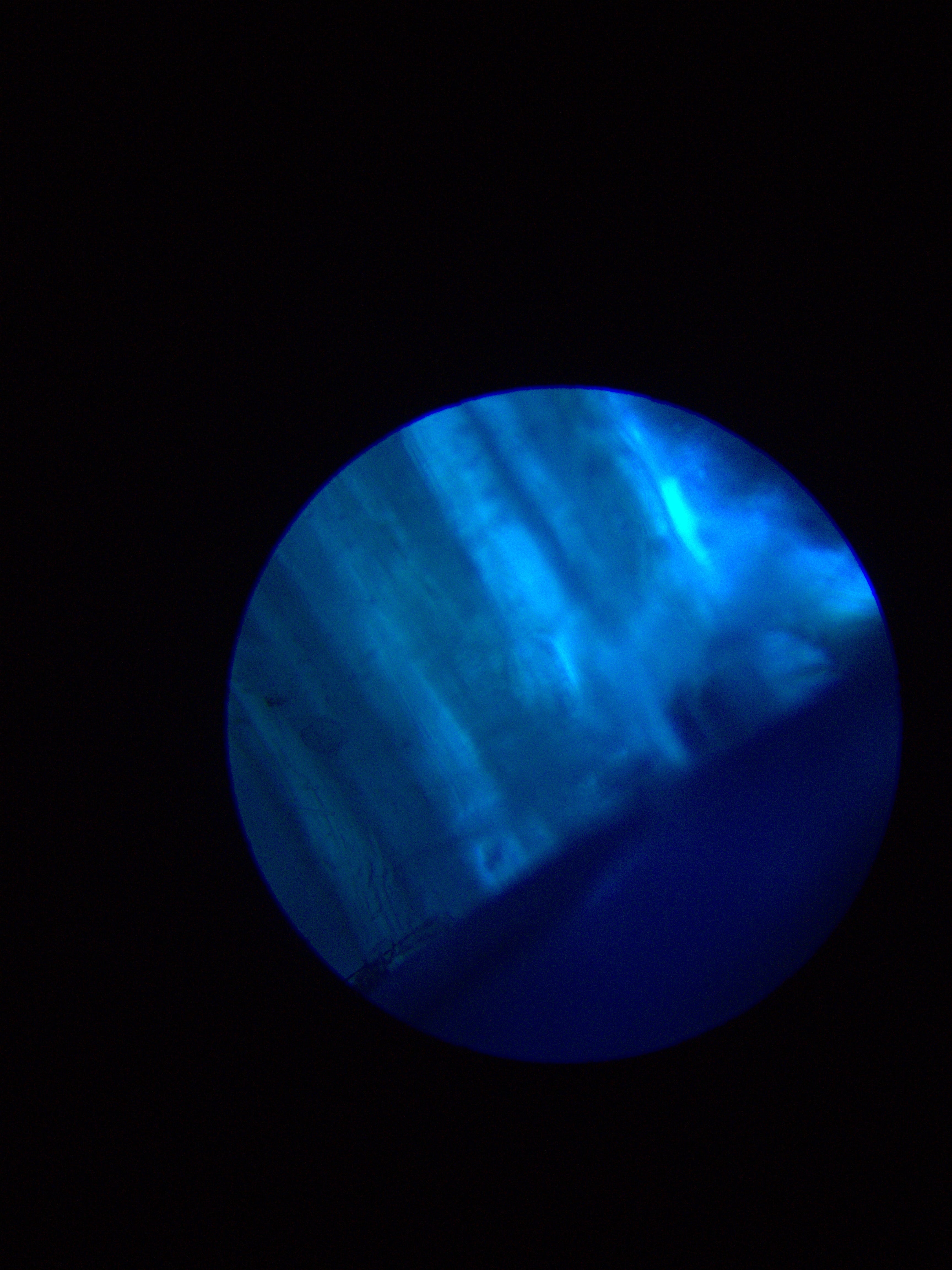 1*0fOrCZGLTrSr68qvlRTwZg