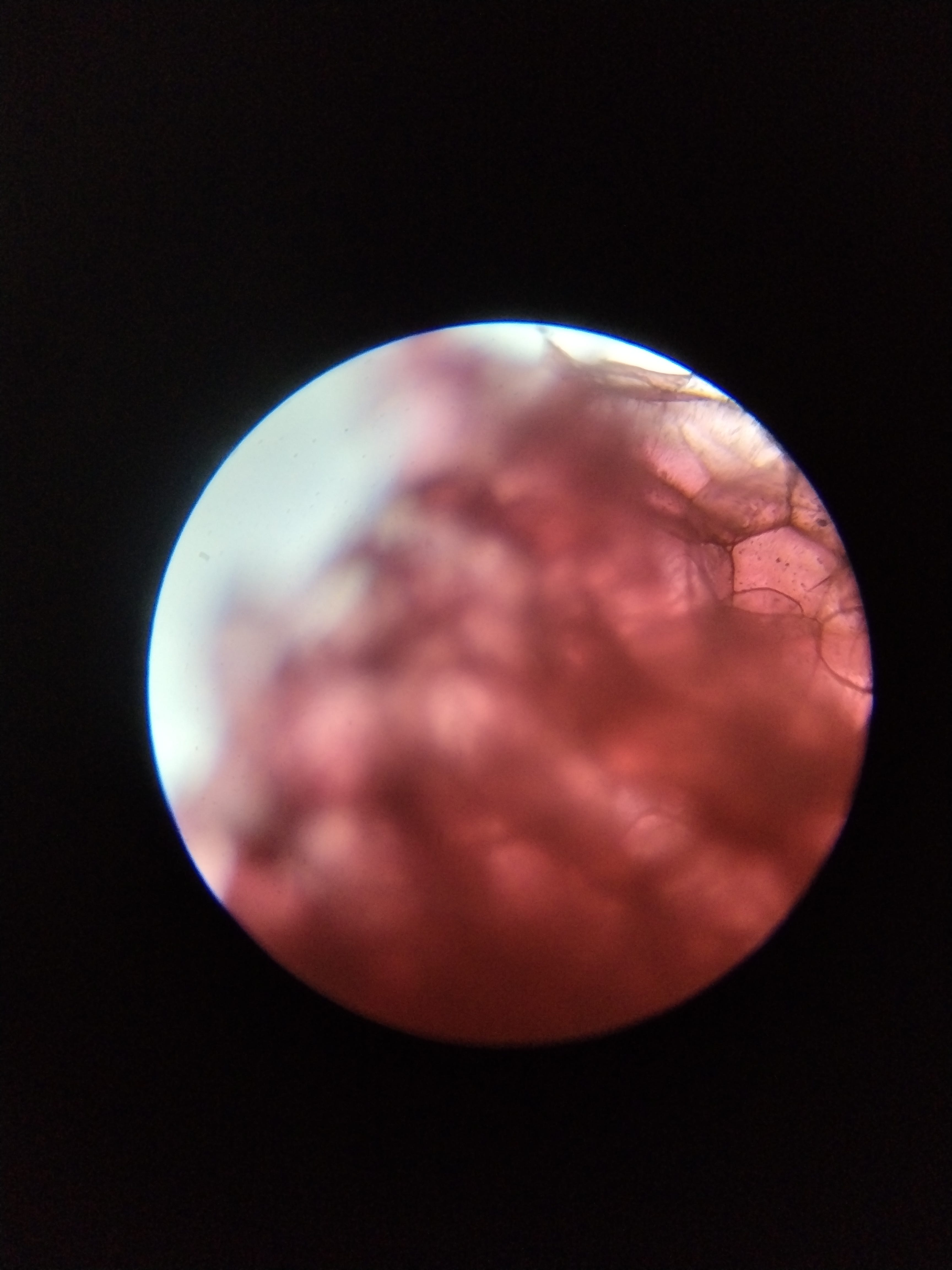 1*2F46JJ NFSYWEiB1QPMt0A