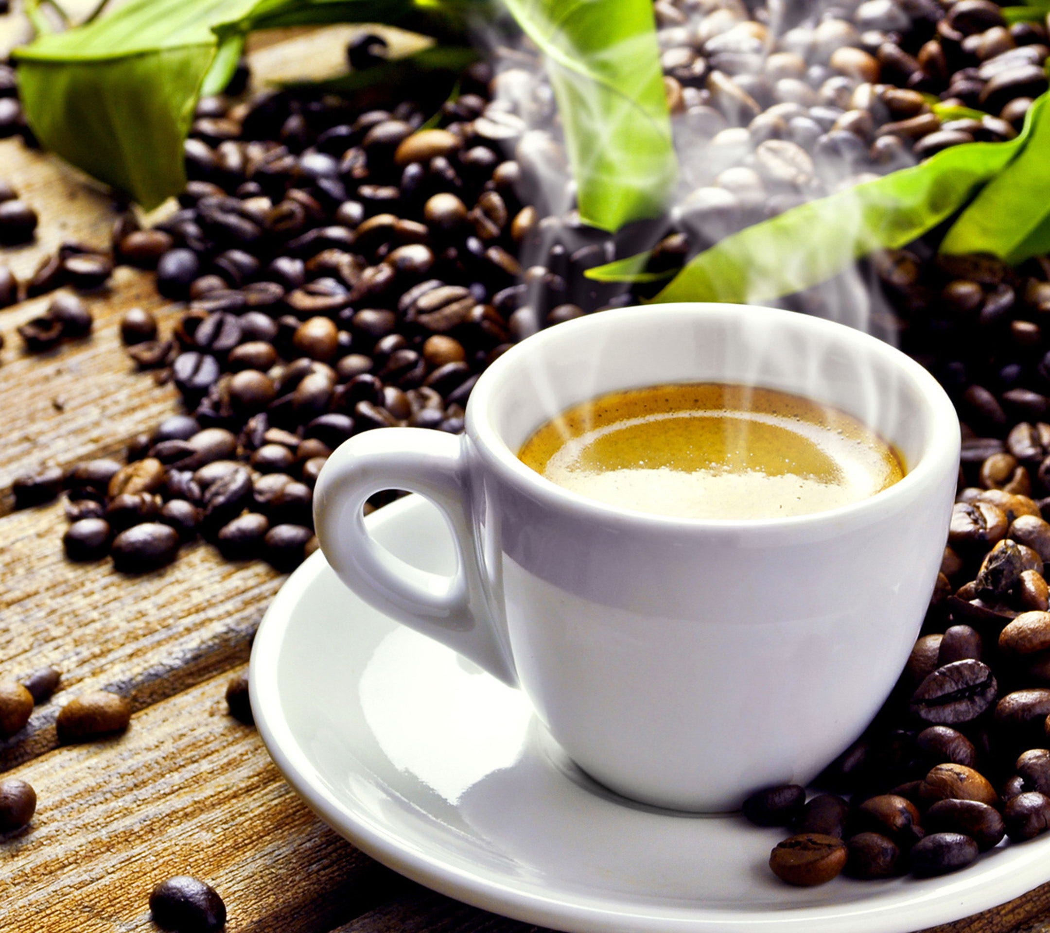 What Makes a Great Coffee: Secrets to Perfect Flavor Every Time