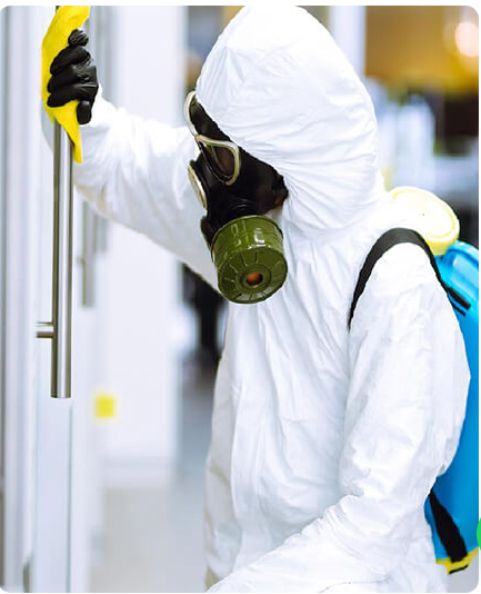 Disinfection Sanitization John Anzal Medium