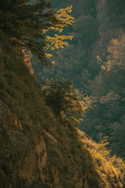Photo by Mahdi Bafande on Pexels