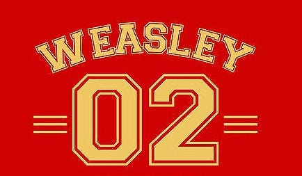 Ron Weasley WEASLEY 02 Harry Potter By Bricoshoppe