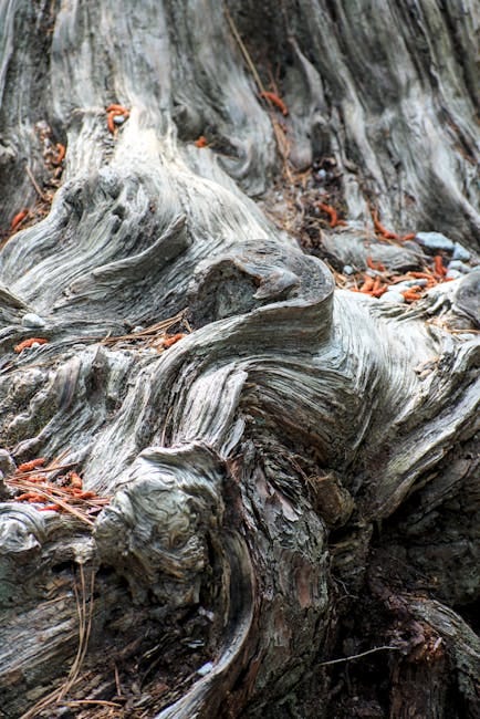 Nature’s Majesty: The Sublime | Read Now