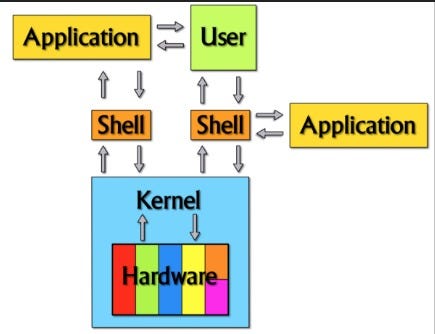 What happens when you type ‘ ls *.c ’ in your shell ? | by Omaratitek ...