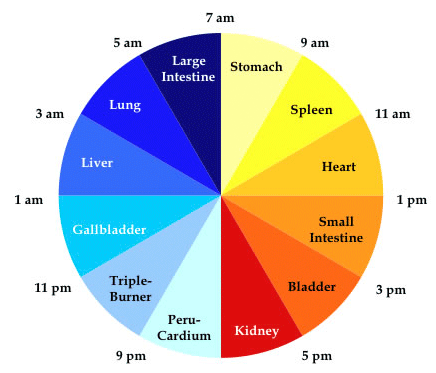 MERİDYEN DÖNGÜSÜ HAKKINDA BİLMENİZ GEREKENLER | by Eda Surucu | Medium