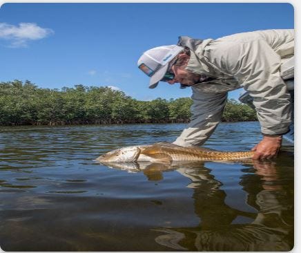 Homosassa Fishing Trip - Crystalriver Fishing - Medium