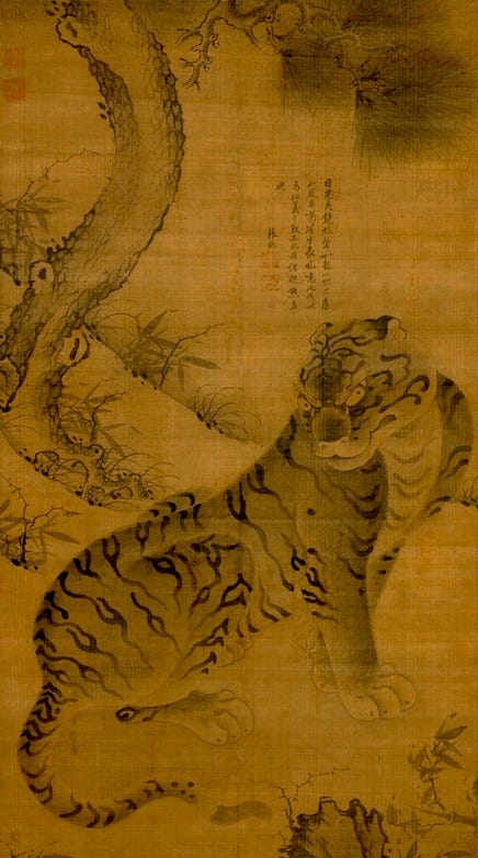 tiger vs dragon drawings