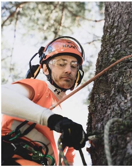 Stevens Point Tree Doctors - Steventreedoctorsusa - Medium