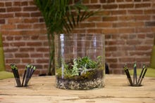 Bolditalic-environment-0051_small