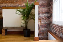 Bolditalic-environment-0068_small