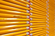 Bolditalic-environment-0009_small