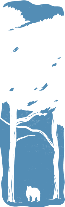 Paranoidpark_spirit_v3