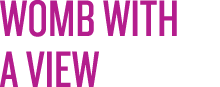 Wombviewtitle_purple_alt
