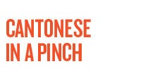 Cantonese-in-a-pinch
